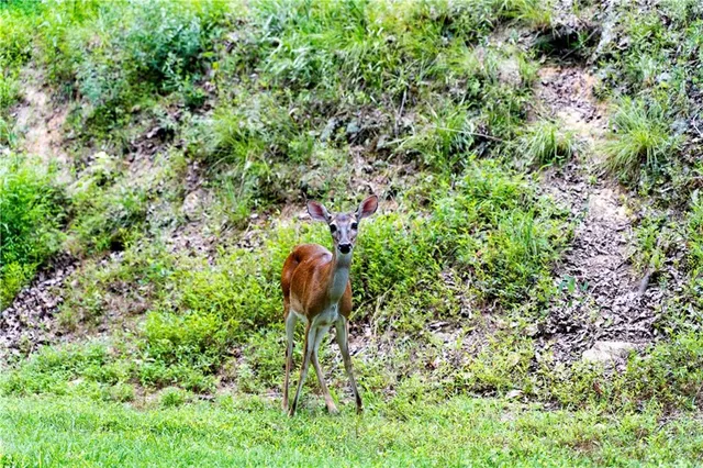 a view of a brick house with a large window