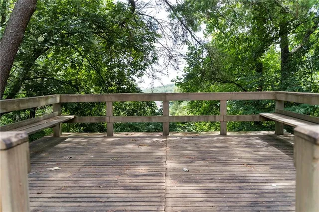 a view of a big yard with a large trees