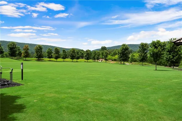 a view of a green field with lots of bushes