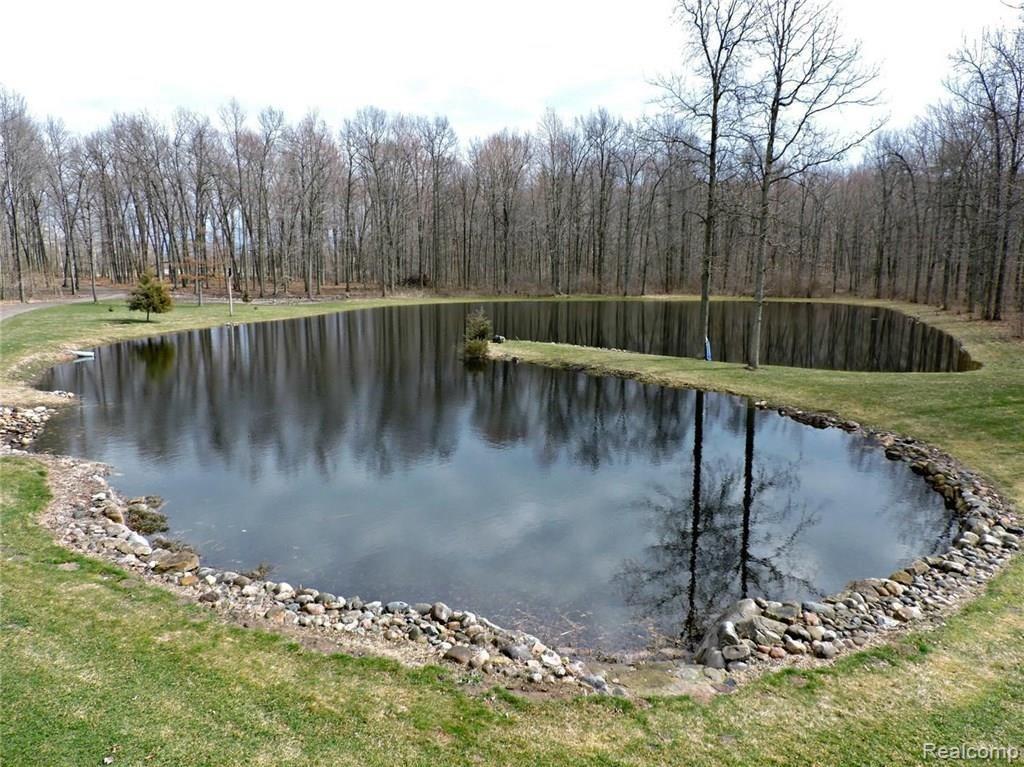 12562 Seymour Road Burt, MI 48417 - Photo 5 of 53 5.jpg