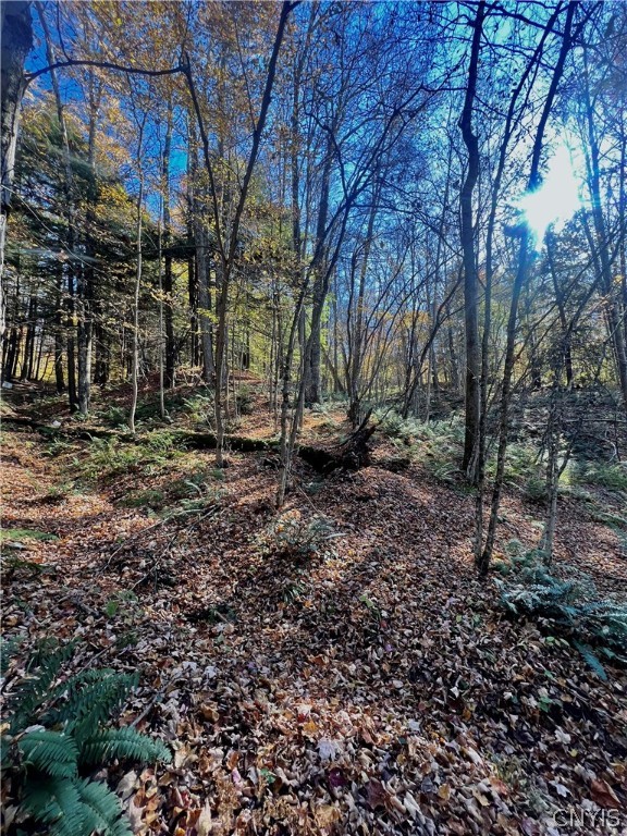 0 South Hamilton Road Hamilton, NY 13346 - Photo 2 of 7