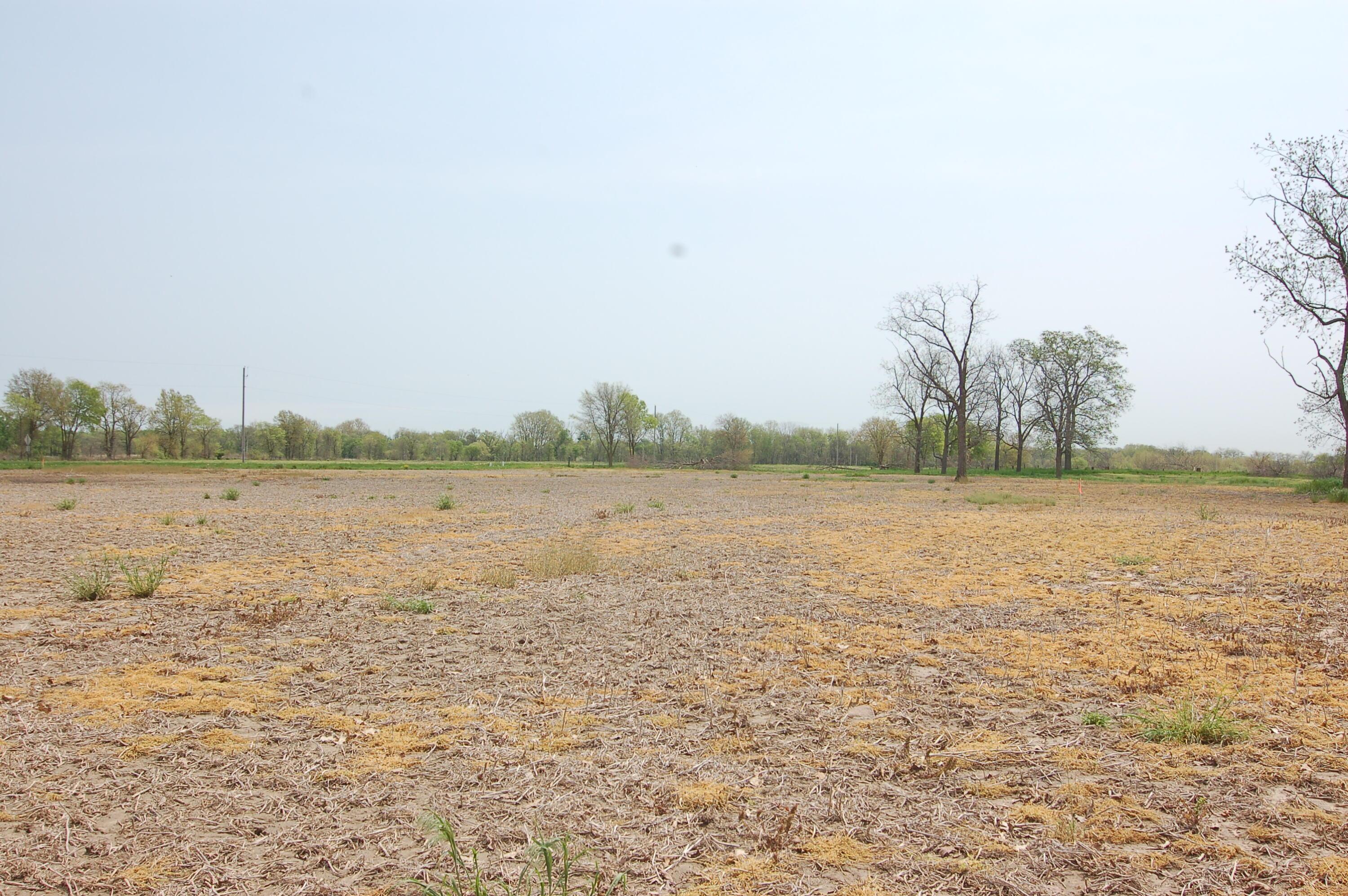 0 Rosedale-plain Rosedale-Plain City Road, Unit TRACT 1 Irwin, OH 43029 - Photo 23 of 28 View Forward from the Home Site