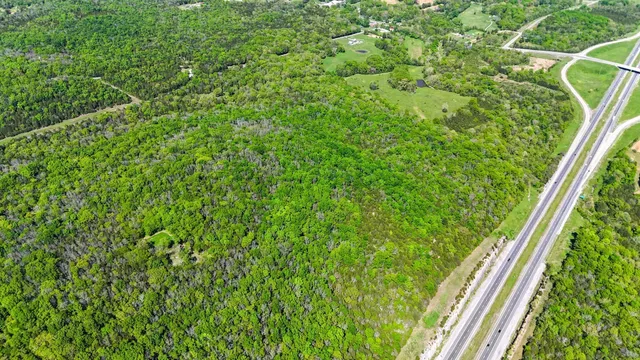 a view of a green field with lots of bushes