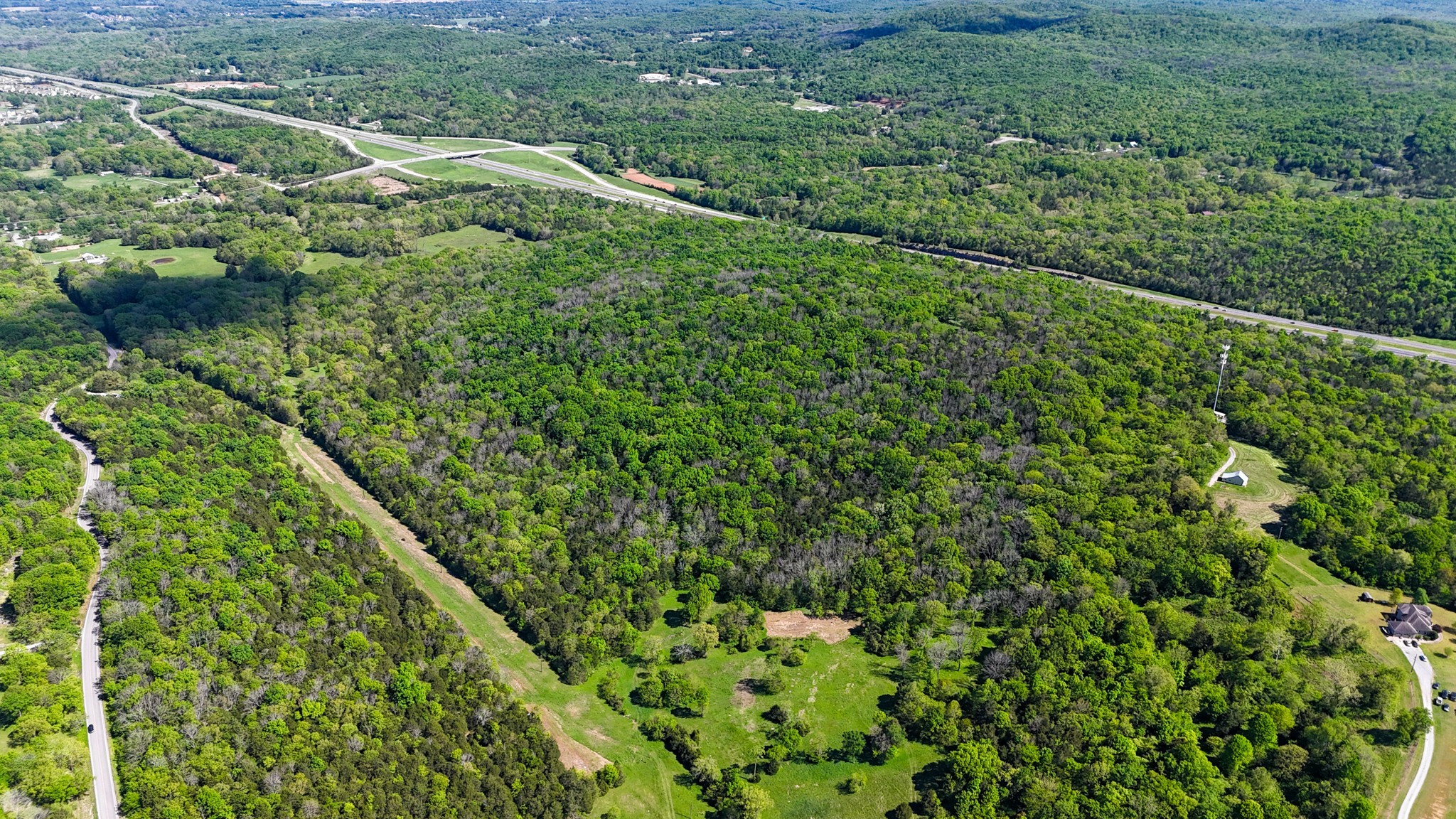 9147 Spantown Road Arrington, TN 37014 - Photo 7 of 15 a view of a lush green forest with lots of trees