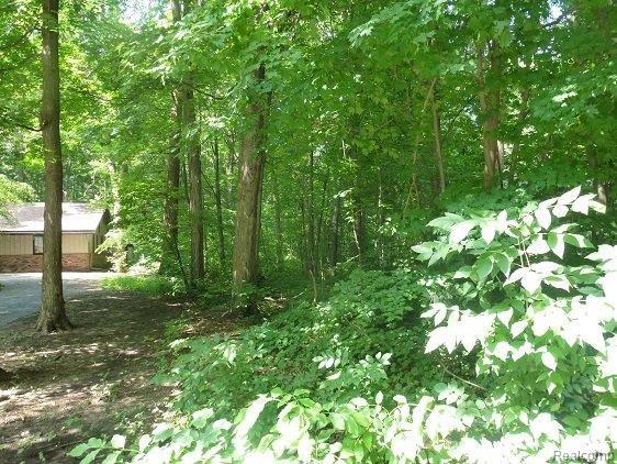 Lot 10 Messmore Road Utica, MI 48317 - Photo 7 of 8 Lot_10_Sidelot.JPG