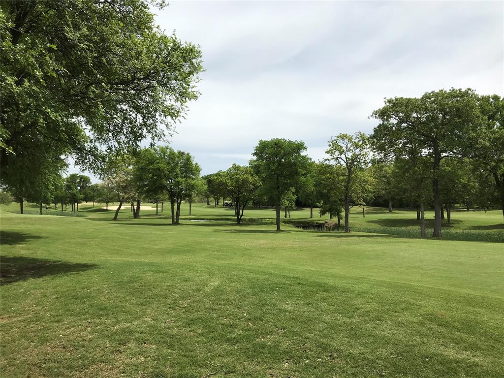 10057 Bluffview Court Whitney, TX 76692 - Photo 11 of 27 a grassy field with trees in the background