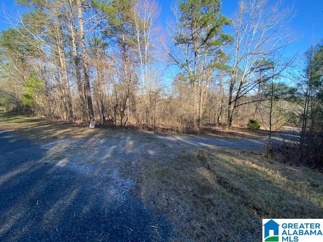 619 Ridge View Drive, Unit 5 ACRES Trussville, AL 35173 - Photo 5 of 20