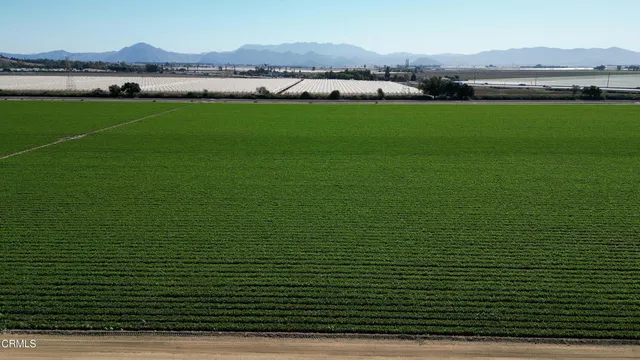 a view of a lush green field