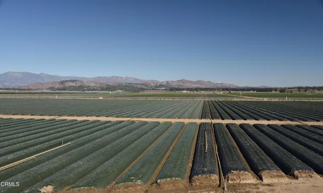 a view of a lake from a city