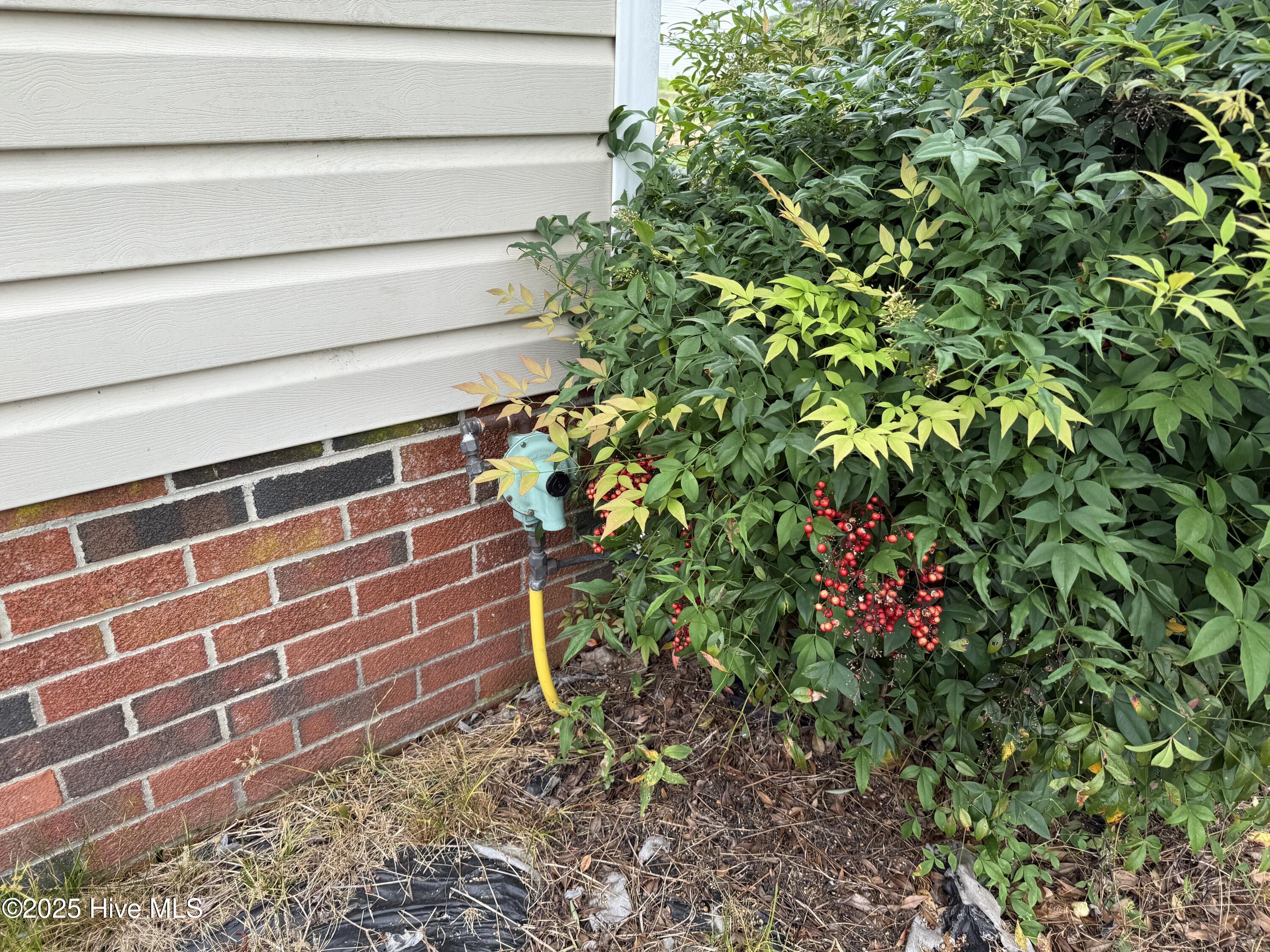 110 North Main Street Colerain, NC 27924 - Photo 28 of 31 Gas regulator; no tank visible