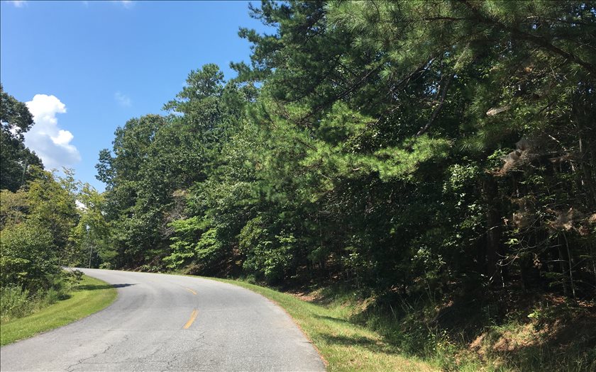 Harris Branch Road Ellijay, GA 30540 - Photo 1 of 1 Main View