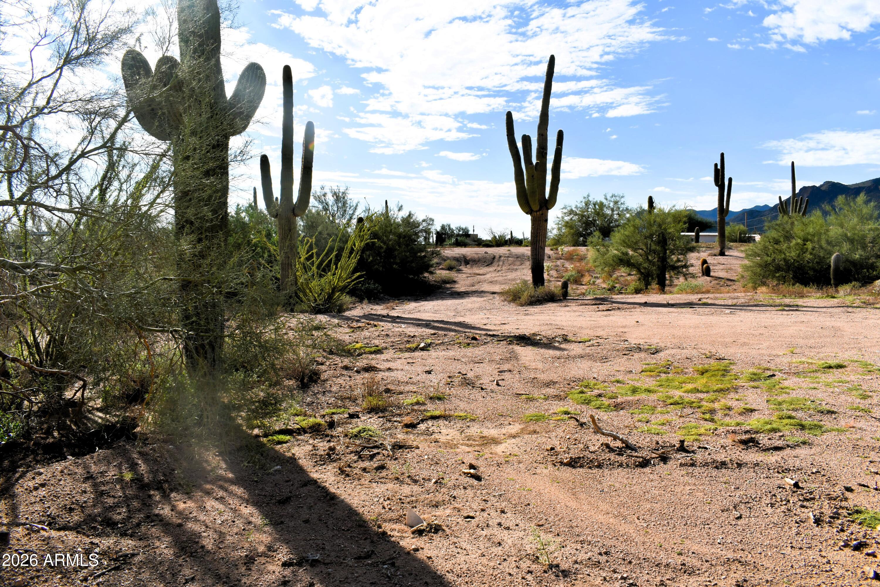 Parcel North Parcel N 100-06-001e Road Apache Junction, AZ 85119 - Photo 9 of 14 DSC_0901