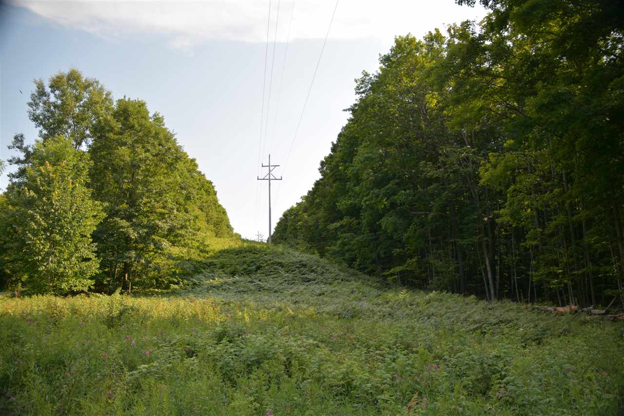 Traverse Road Thompsonville, MI 49683 - Photo 5 of 7 1890643-5.JPG