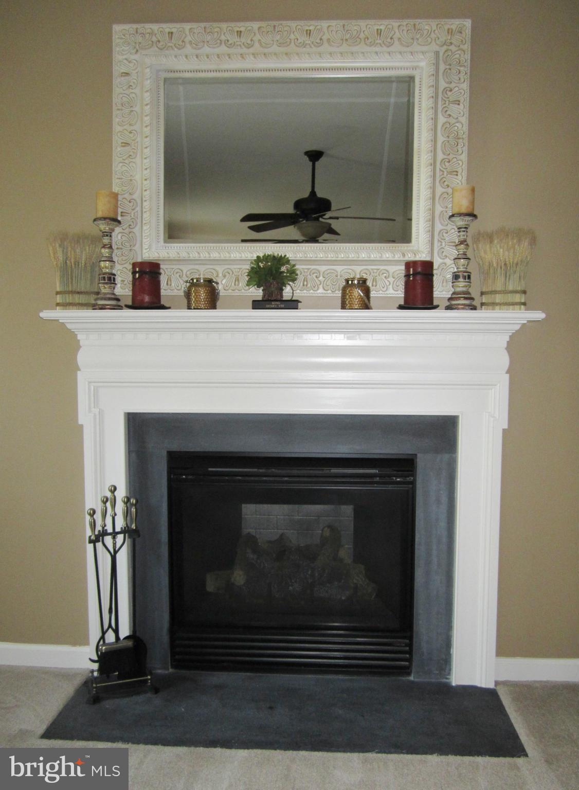 56 Haverhill Road Joppa, MD 21085 - Photo 15 of 30 Gas Fireplace - Family Room