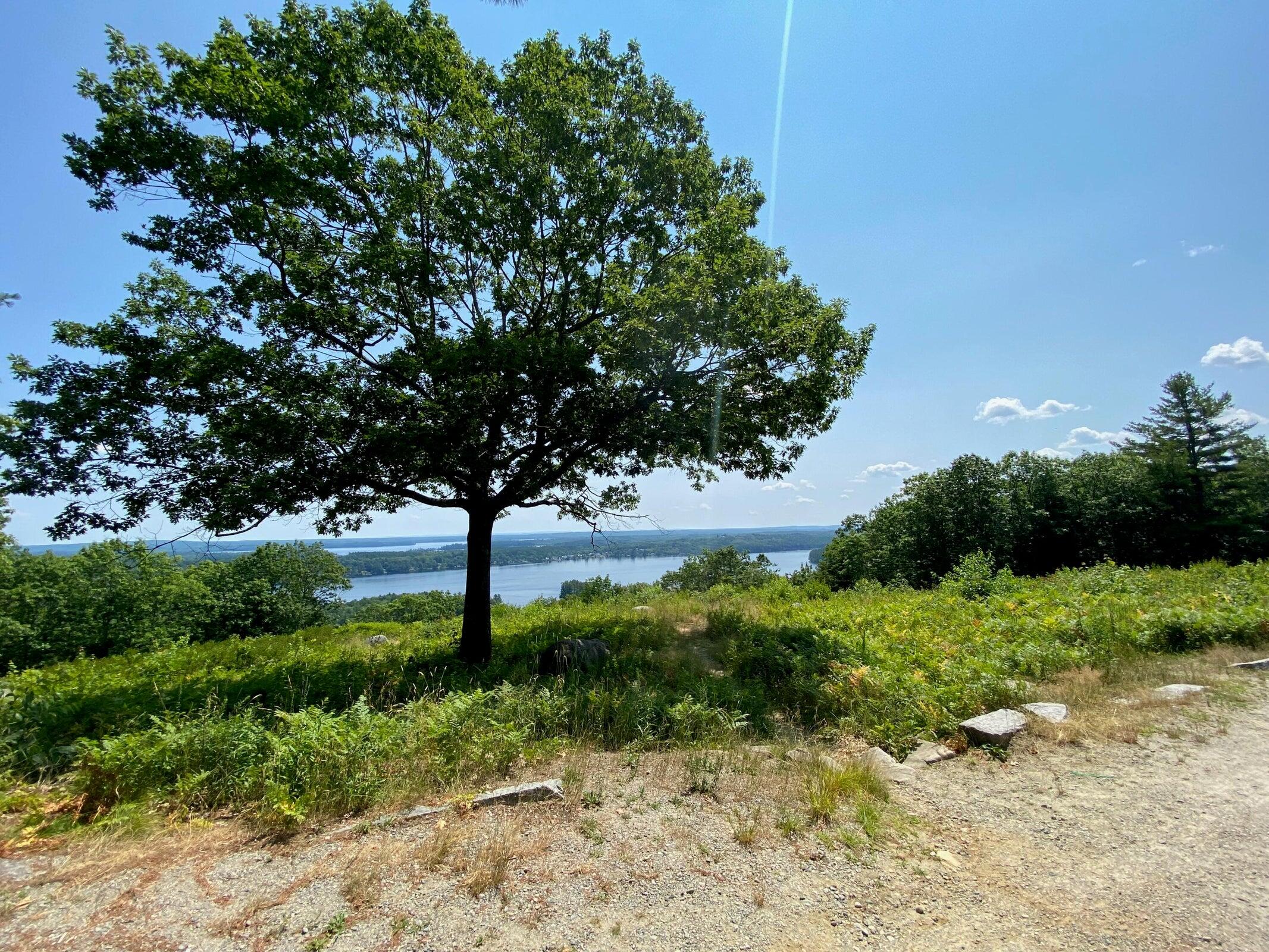 6 West Road Belgrade, ME 04917 - Photo 18 of 32 BLUEBERRY HILL