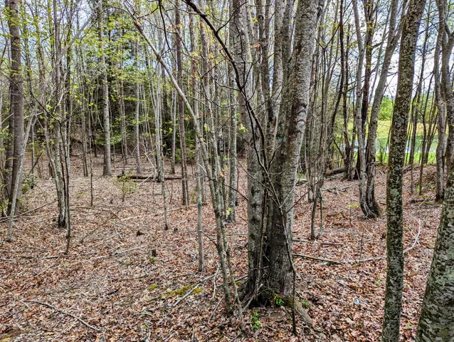 a view of a pathway with a yard