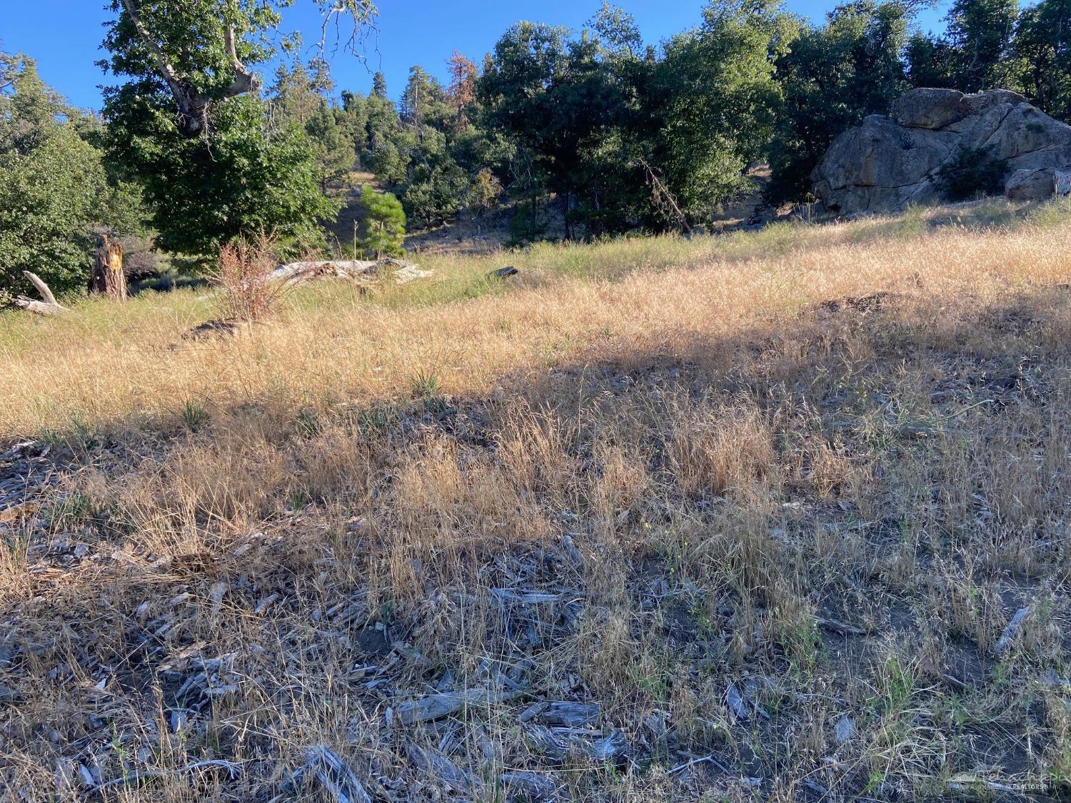 0 Surrey Way Tehachapi, CA 93561 - Photo 13 of 15 Gallery Image 13