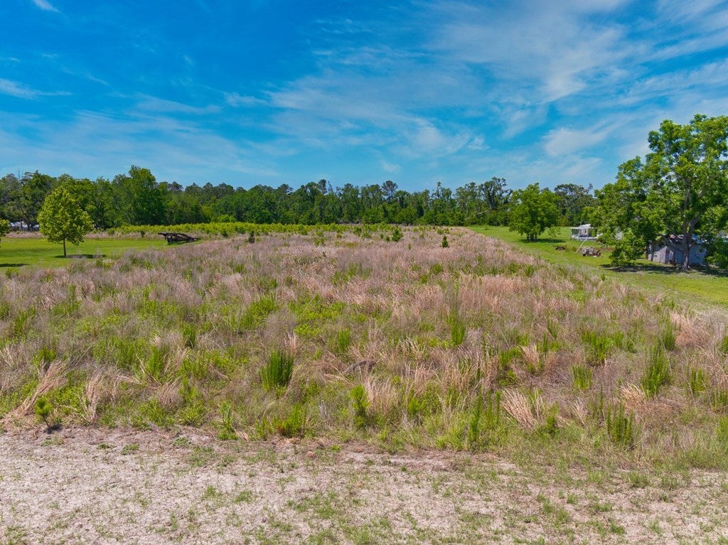 Tbd Mable Road Valdosta, GA 31605 - Photo 16 of 19 Gallery Image 16