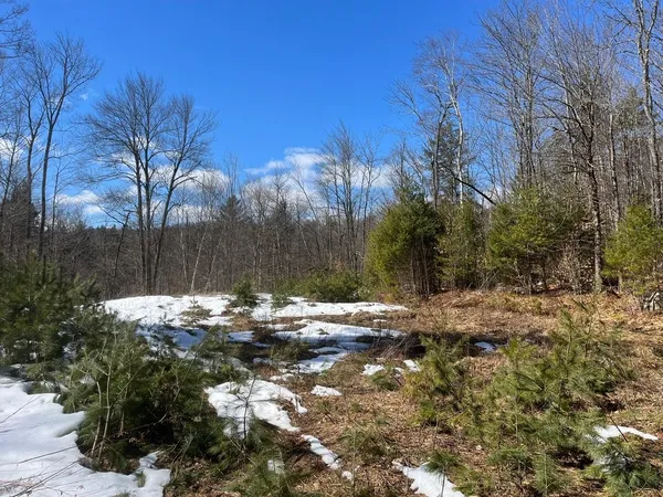 $309,000 | 0 Pratt Bridge Road, Jamaica, VT 05343