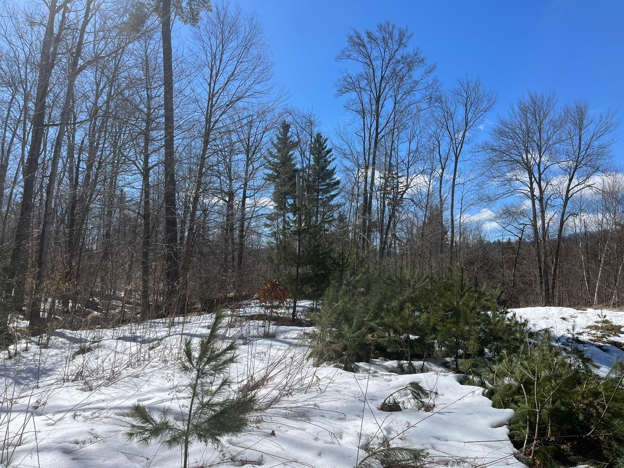 0 Pratt Bridge Road Jamaica, VT 05343 - Photo 11 of 15