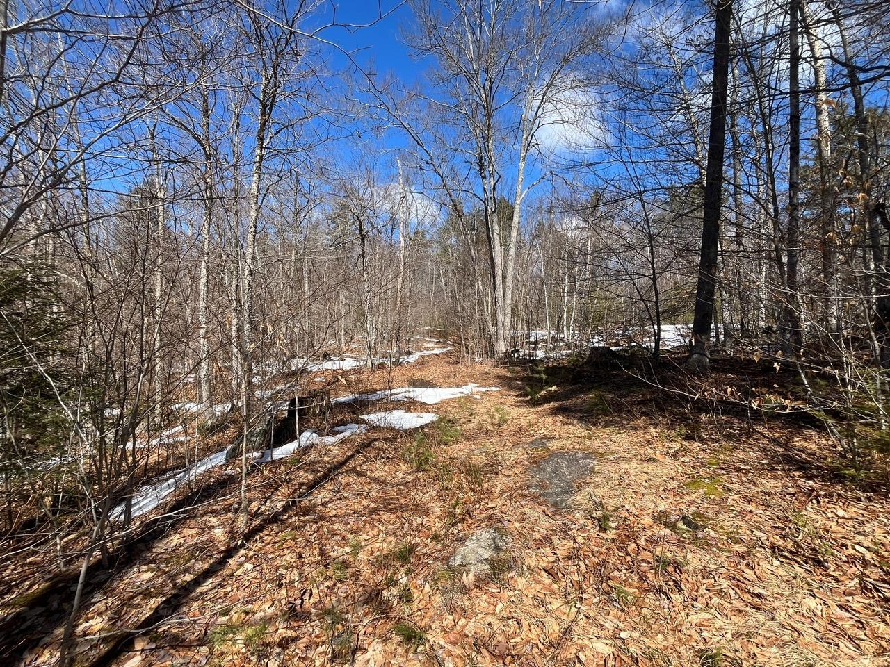 0 Pratt Bridge Road Jamaica, VT 05343 - Photo 12 of 15