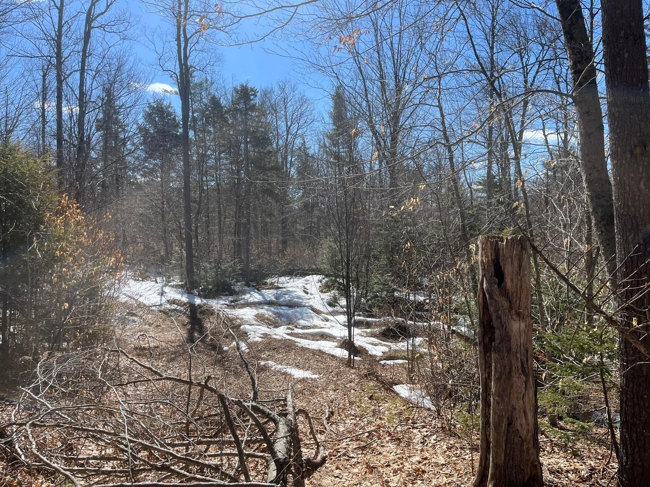 0 Pratt Bridge Road Jamaica, VT 05343 - Photo 13 of 15