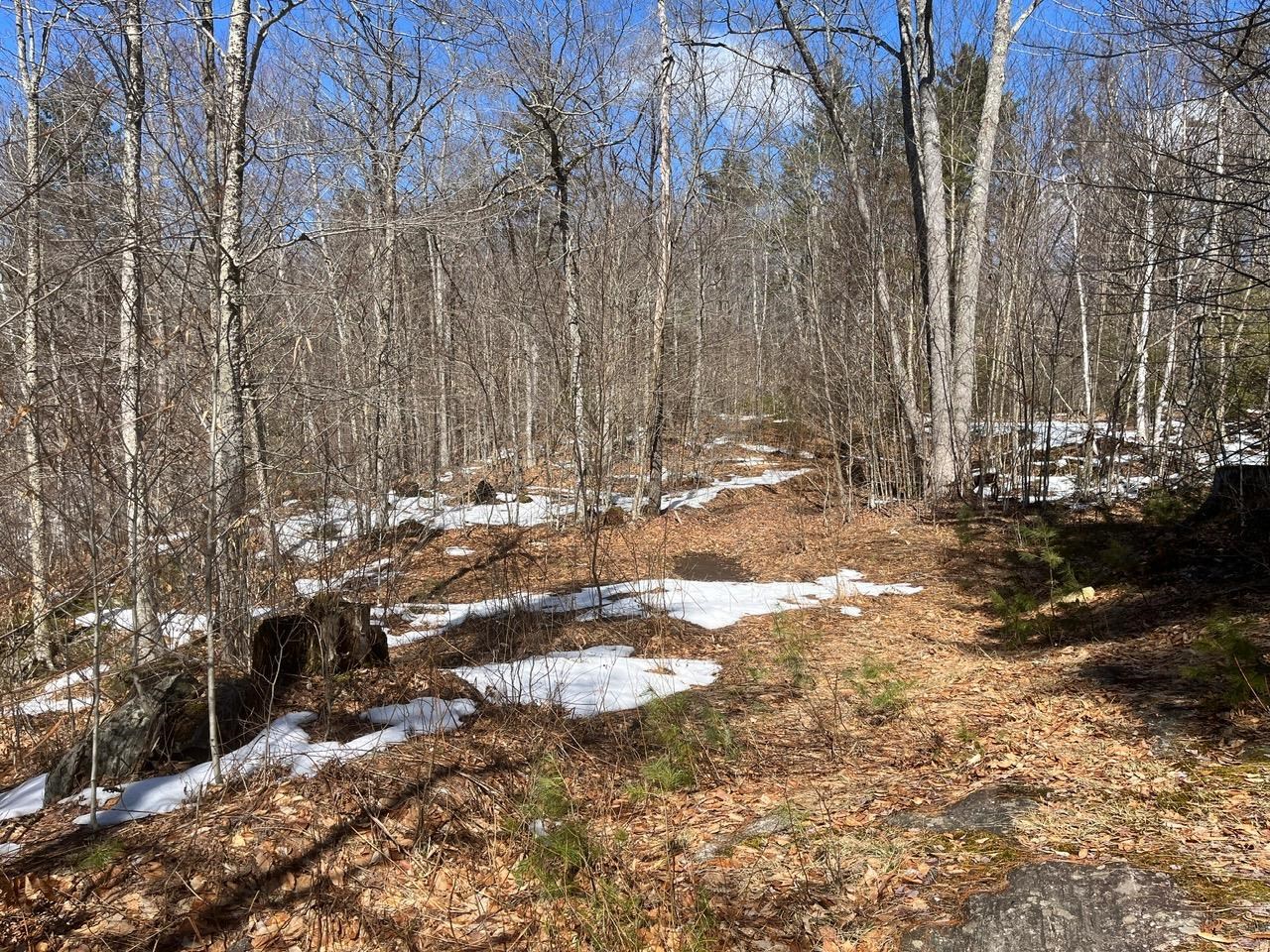 0 Pratt Bridge Road Jamaica, VT 05343 - Photo 14 of 15