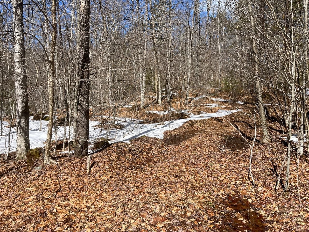 0 Pratt Bridge Road Jamaica, VT 05343 - Photo 15 of 15