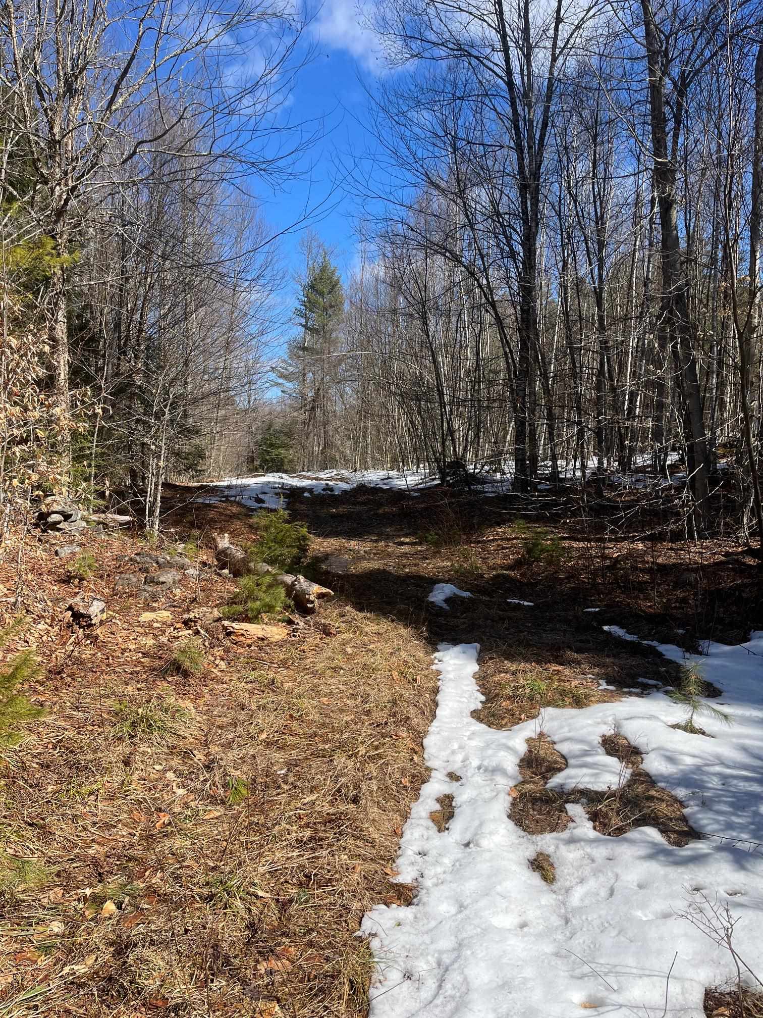 0 Pratt Bridge Road Jamaica, VT 05343 - Photo 2 of 15