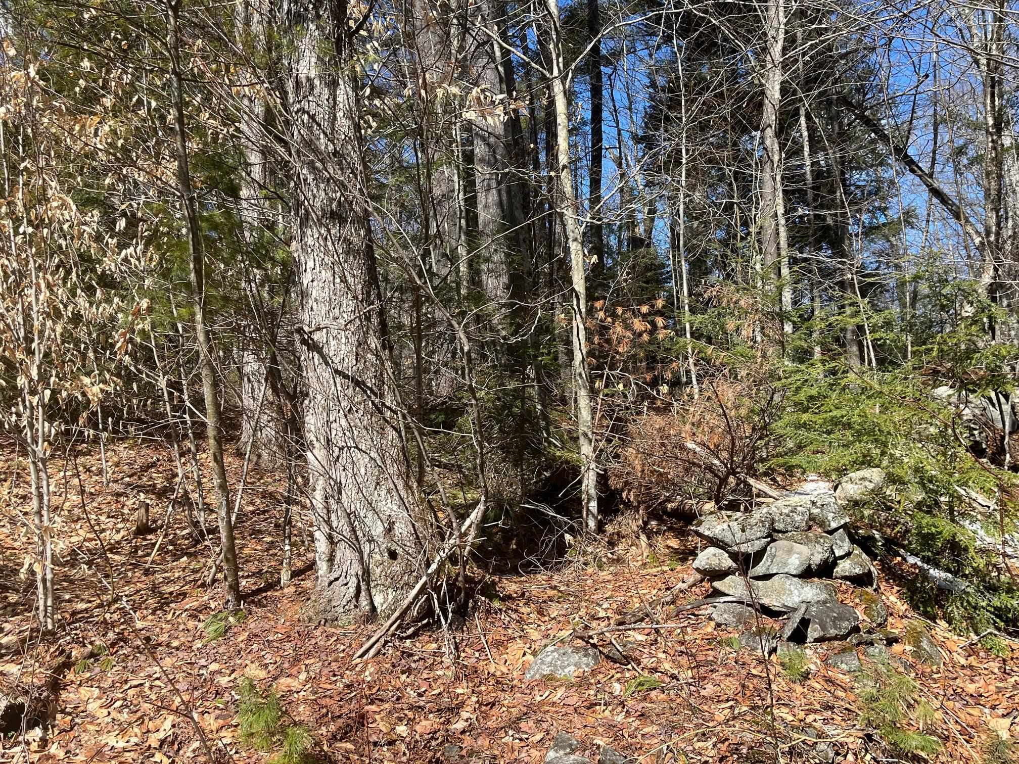 0 Pratt Bridge Road Jamaica, VT 05343 - Photo 3 of 15