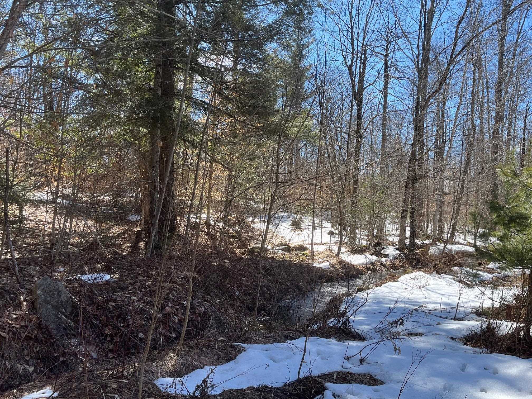 0 Pratt Bridge Road Jamaica, VT 05343 - Photo 4 of 15