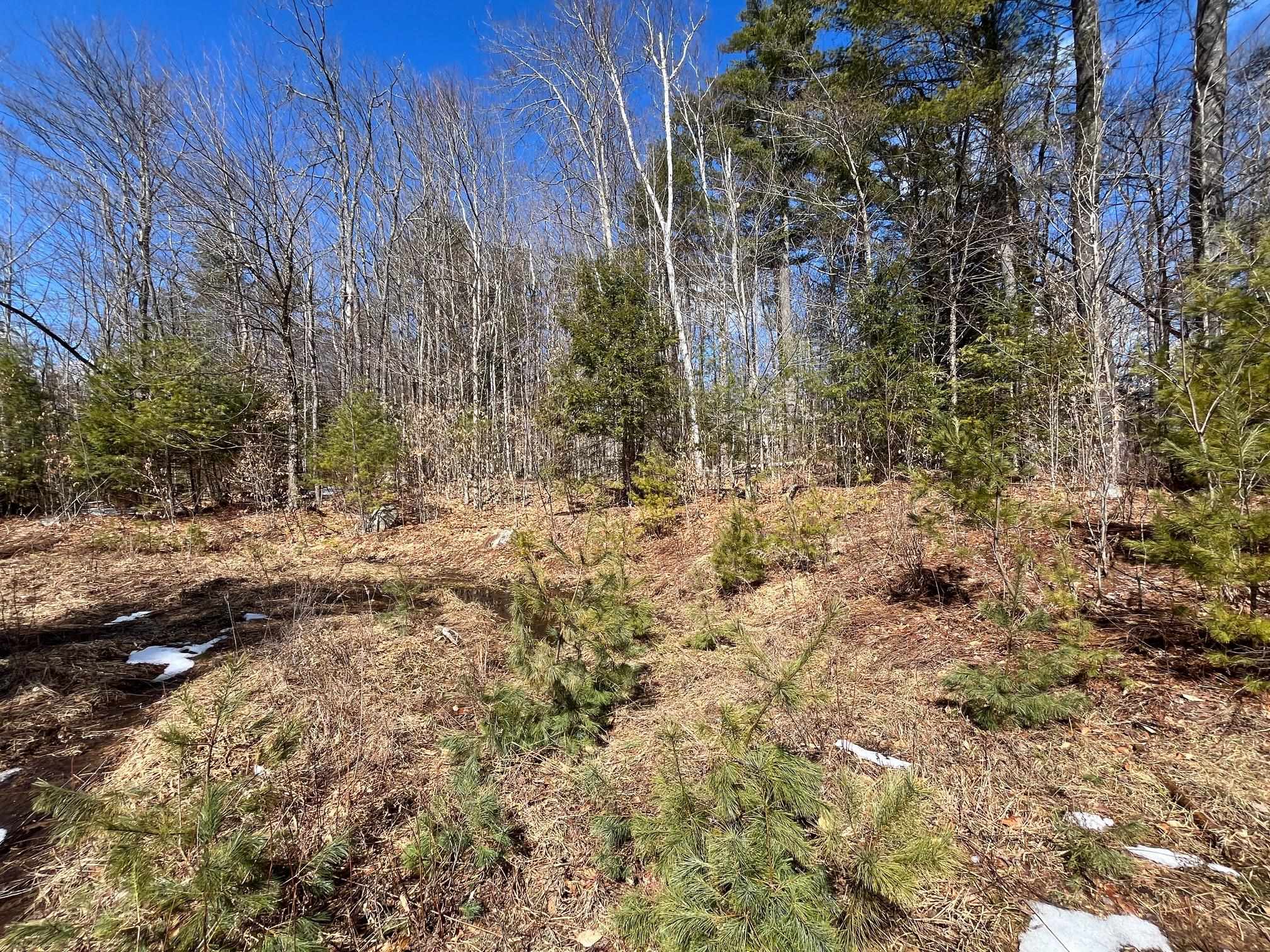 0 Pratt Bridge Road Jamaica, VT 05343 - Photo 5 of 15