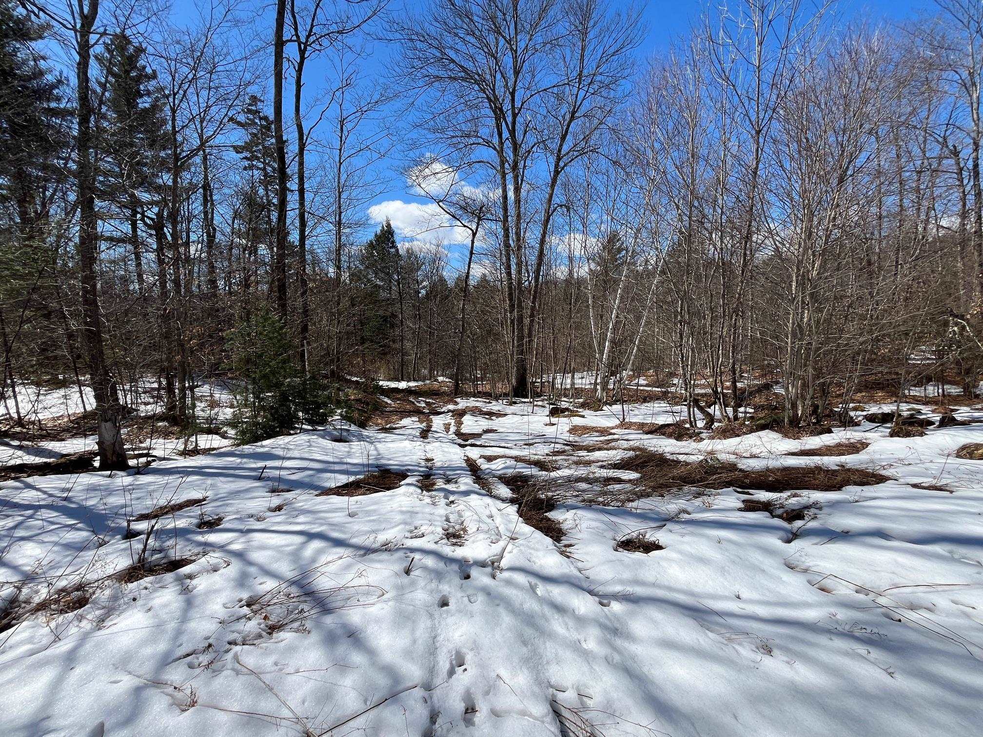 0 Pratt Bridge Road Jamaica, VT 05343 - Photo 6 of 15