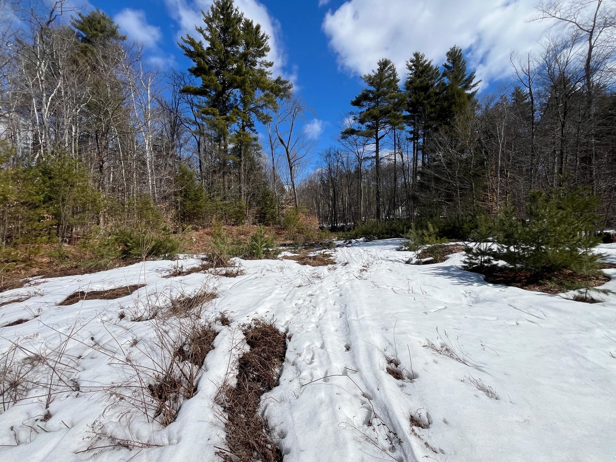 0 Pratt Bridge Road Jamaica, VT 05343 - Photo 7 of 15