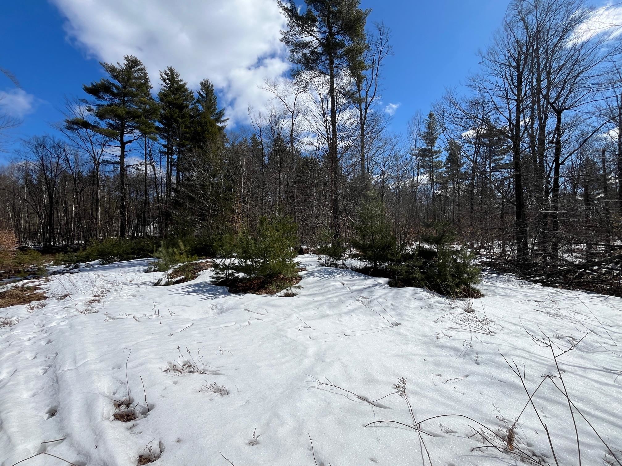 0 Pratt Bridge Road Jamaica, VT 05343 - Photo 8 of 15