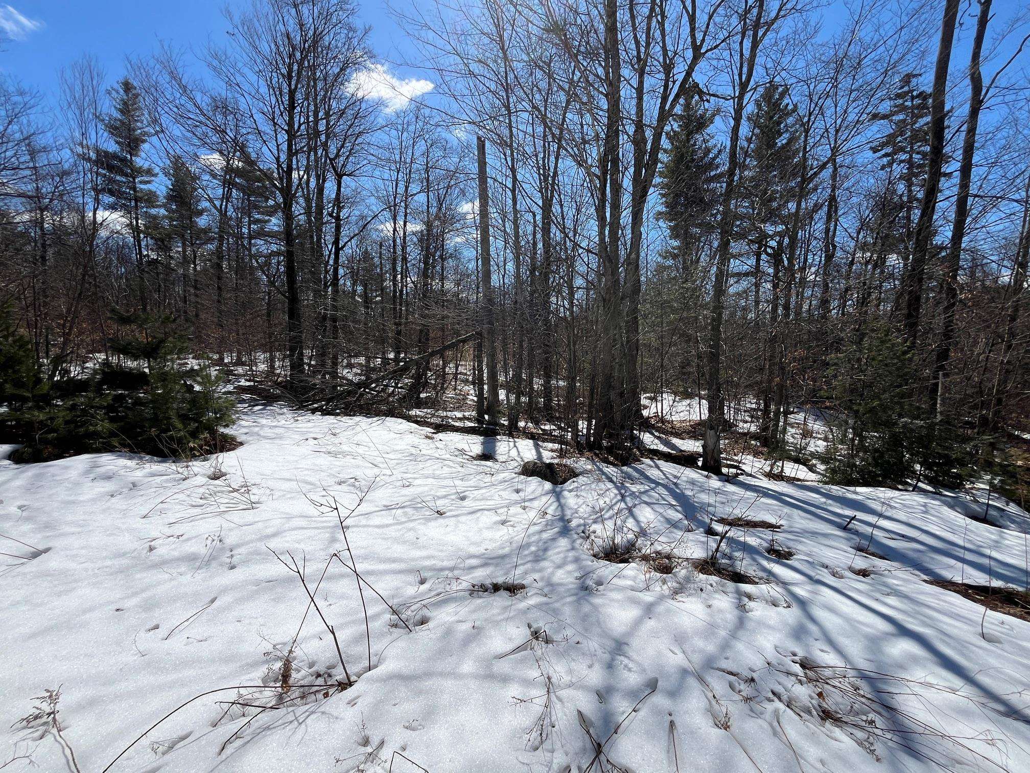 0 Pratt Bridge Road Jamaica, VT 05343 - Photo 9 of 15