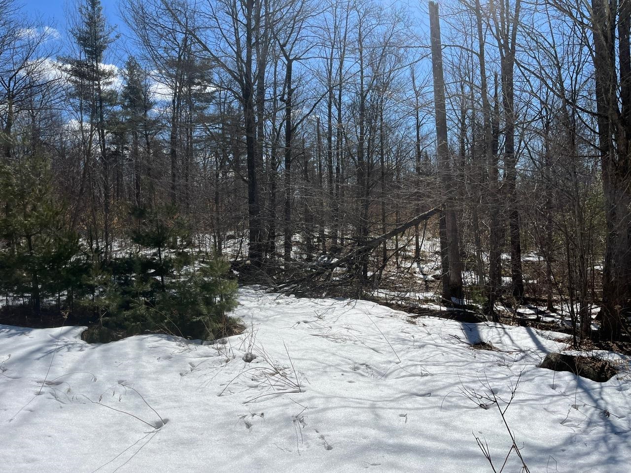 0 Pratt Bridge Road Jamaica, VT 05343 - Photo 10 of 15