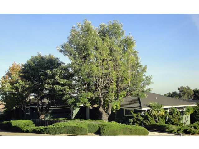 2857 Mariposa Drive Burlingame, CA 94010 - Photo 1 of 5