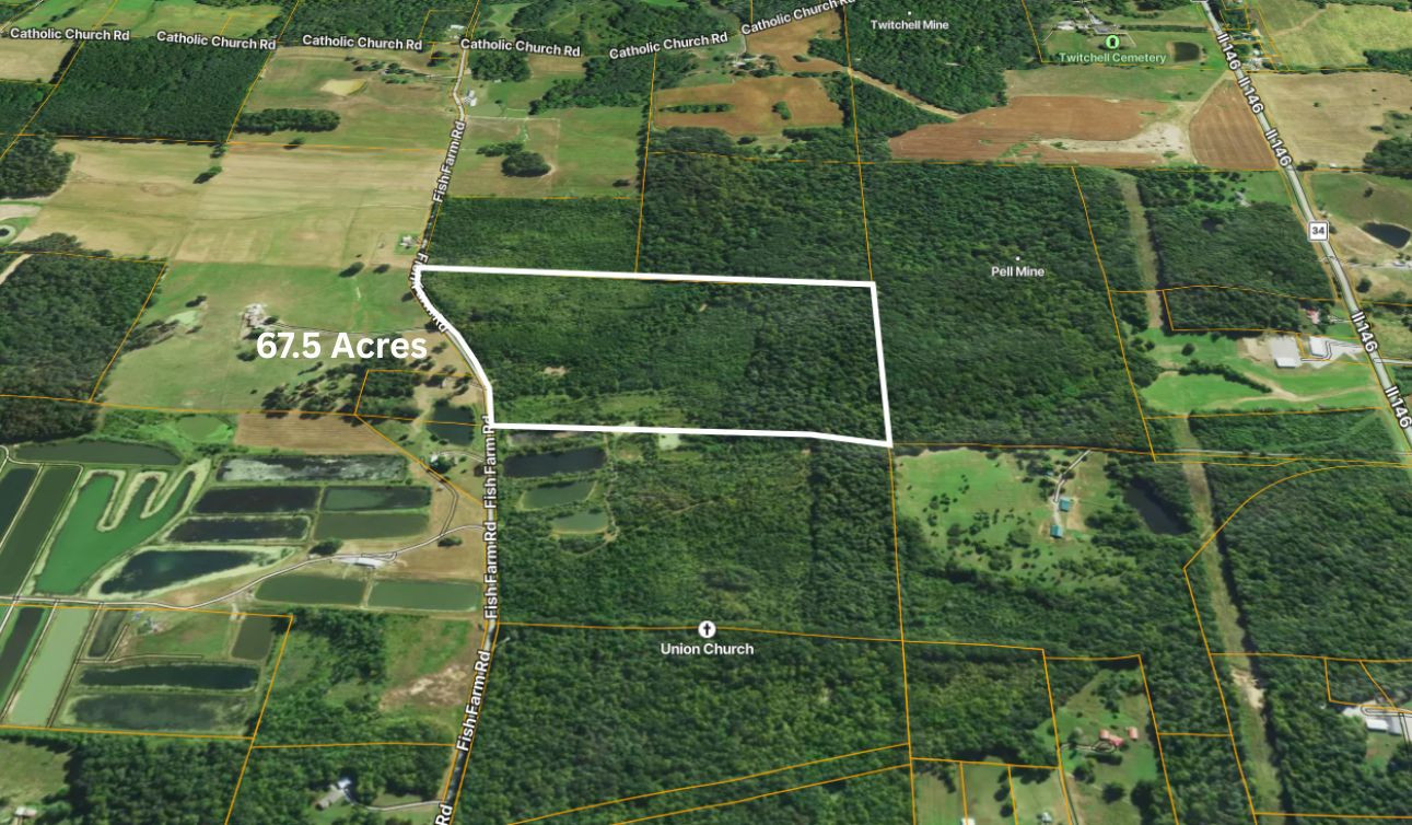 70 Fish Farm Road Golconda, IL 62938 - Photo 13 of 19
