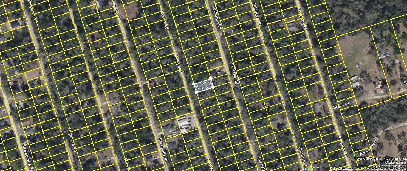 19 Neeley Road Crawfordville, FL 32327 - Photo 3 of 4