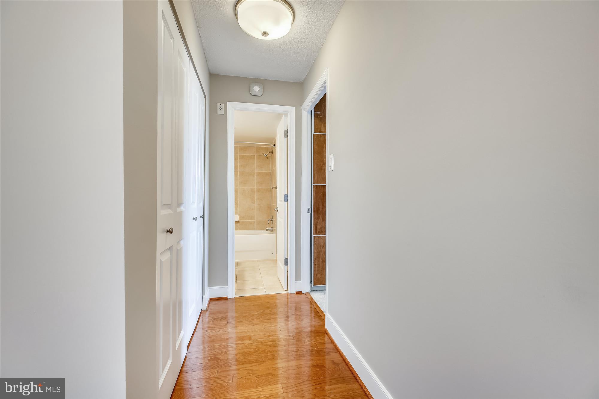 1220 Blair Mill Road, Unit 1107 Silver Spring, MD 20910 - Photo 11 of 24 Gallery Image 11
