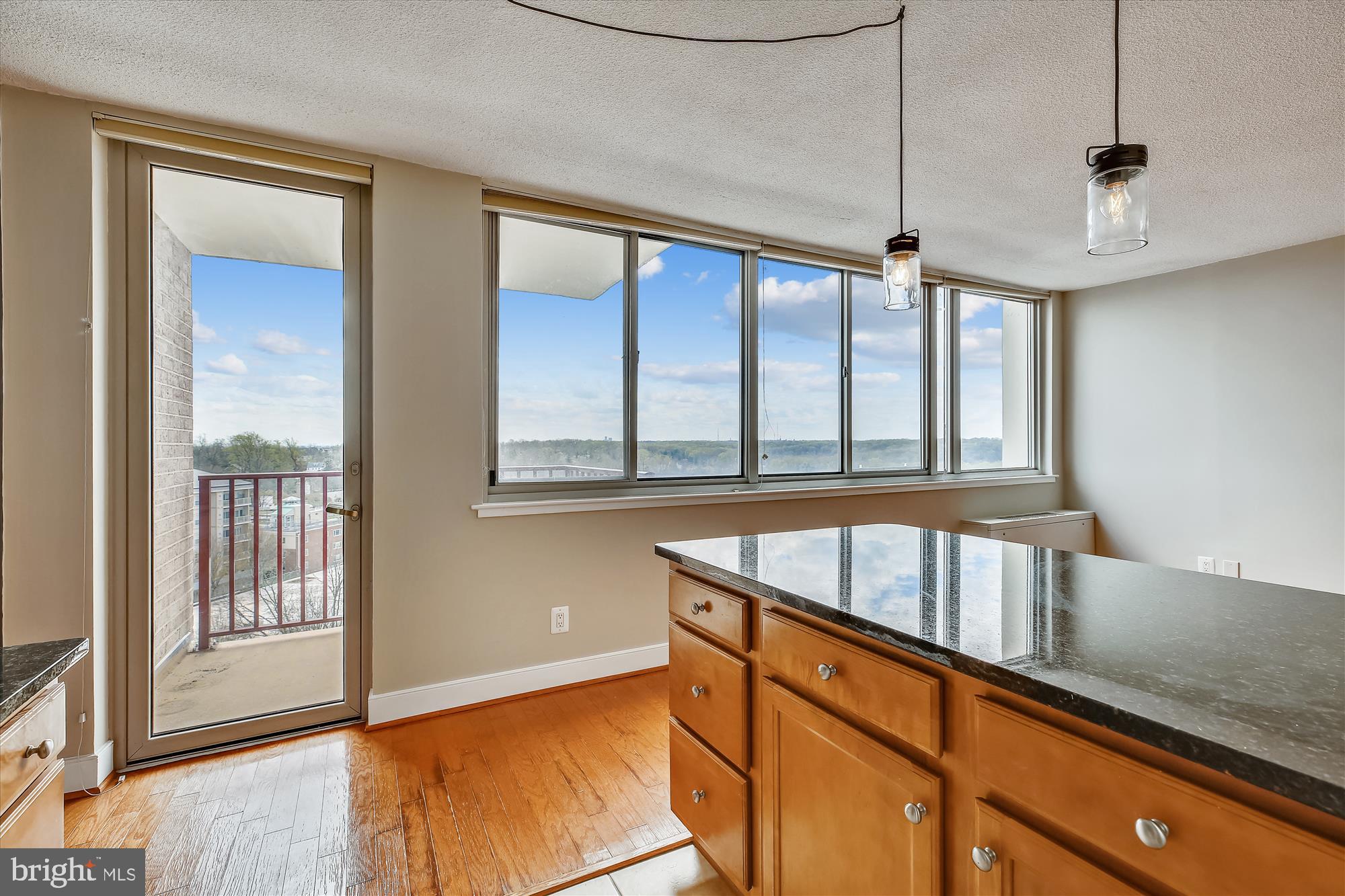 1220 Blair Mill Road, Unit 1107 Silver Spring, MD 20910 - Photo 7 of 24 Gallery Image 7