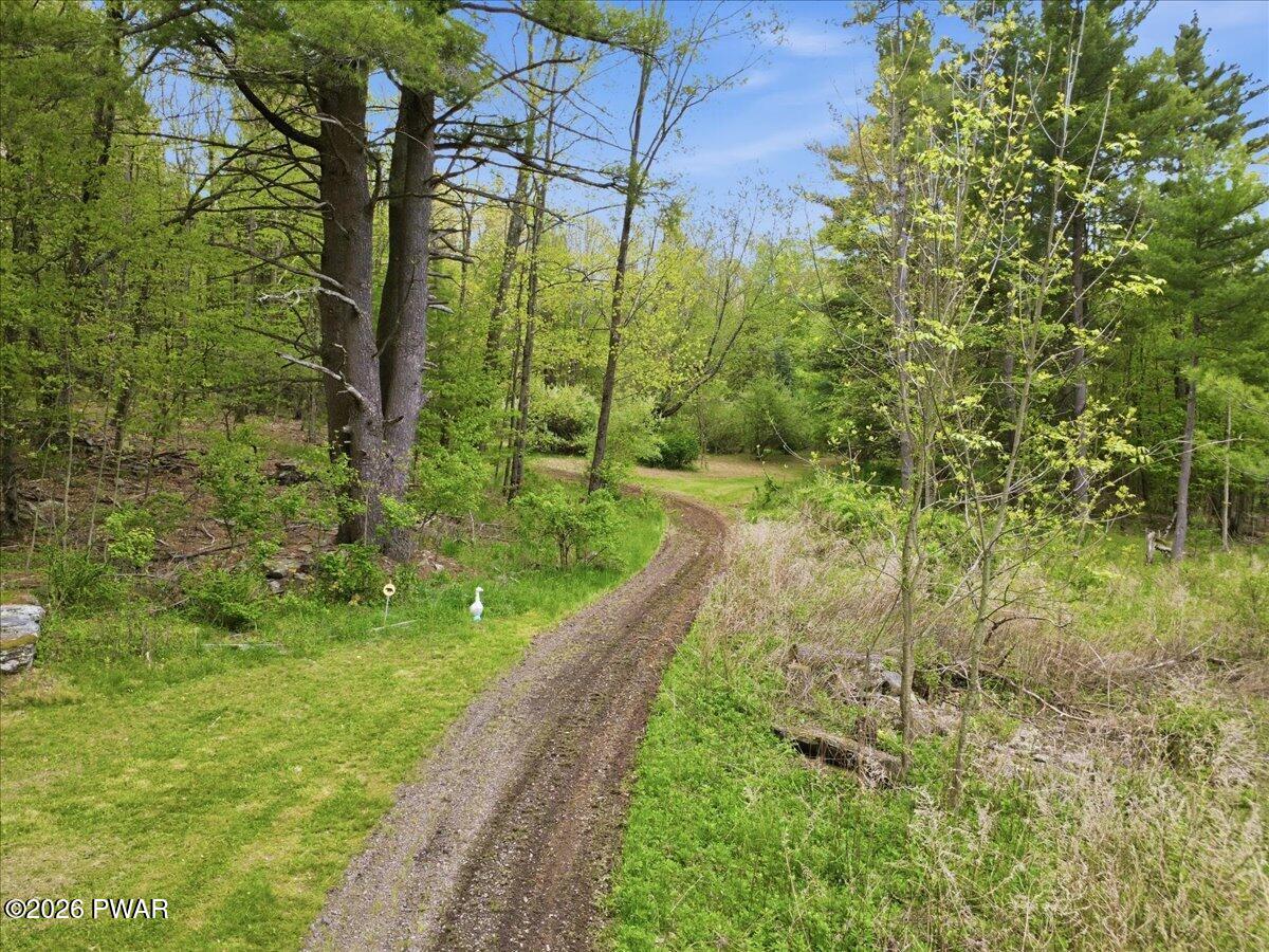 103 Forever Green Road Lakeville, PA 18438 - Photo 25 of 179