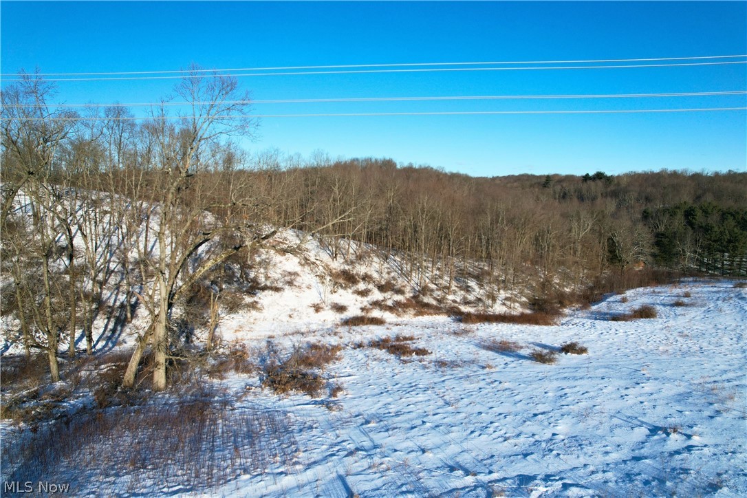 Fostor Road Dresden, OH 43821 - Photo 23 of 25 Snowy landscape
