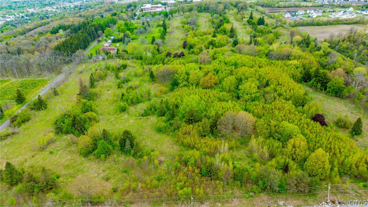 4480 Lafayette Road Onondaga, NY 13078 - Photo 4 of 17