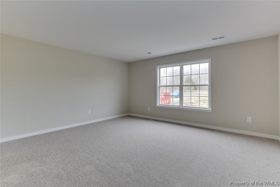 472 Sexton Road Elberon, VA 23846 - Photo 21 of 33 Gallery Image 21