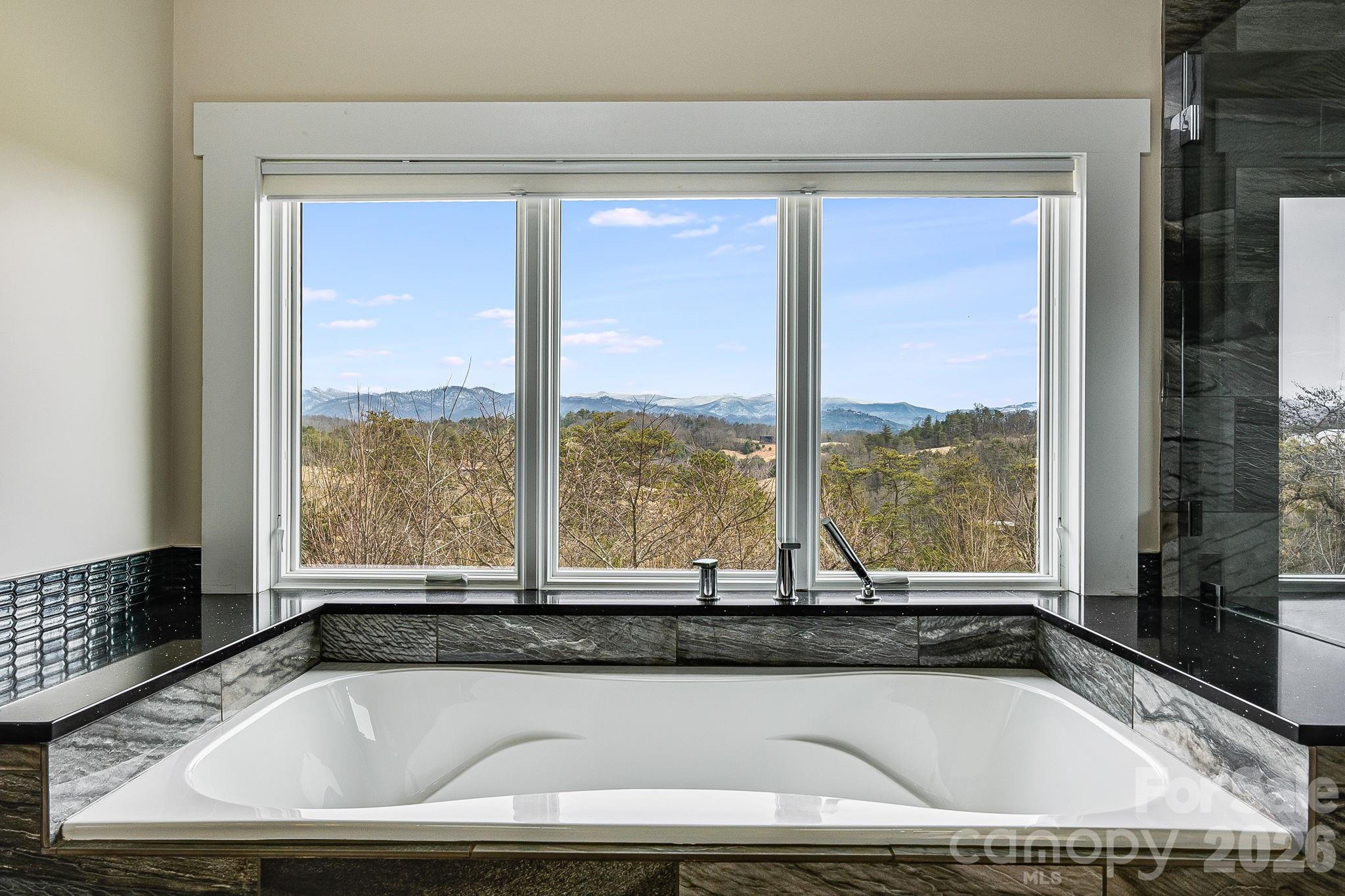 76 Murray De Bruhl Road Alexander, NC 28701 - Photo 28 of 44 a view of a bathtub and window