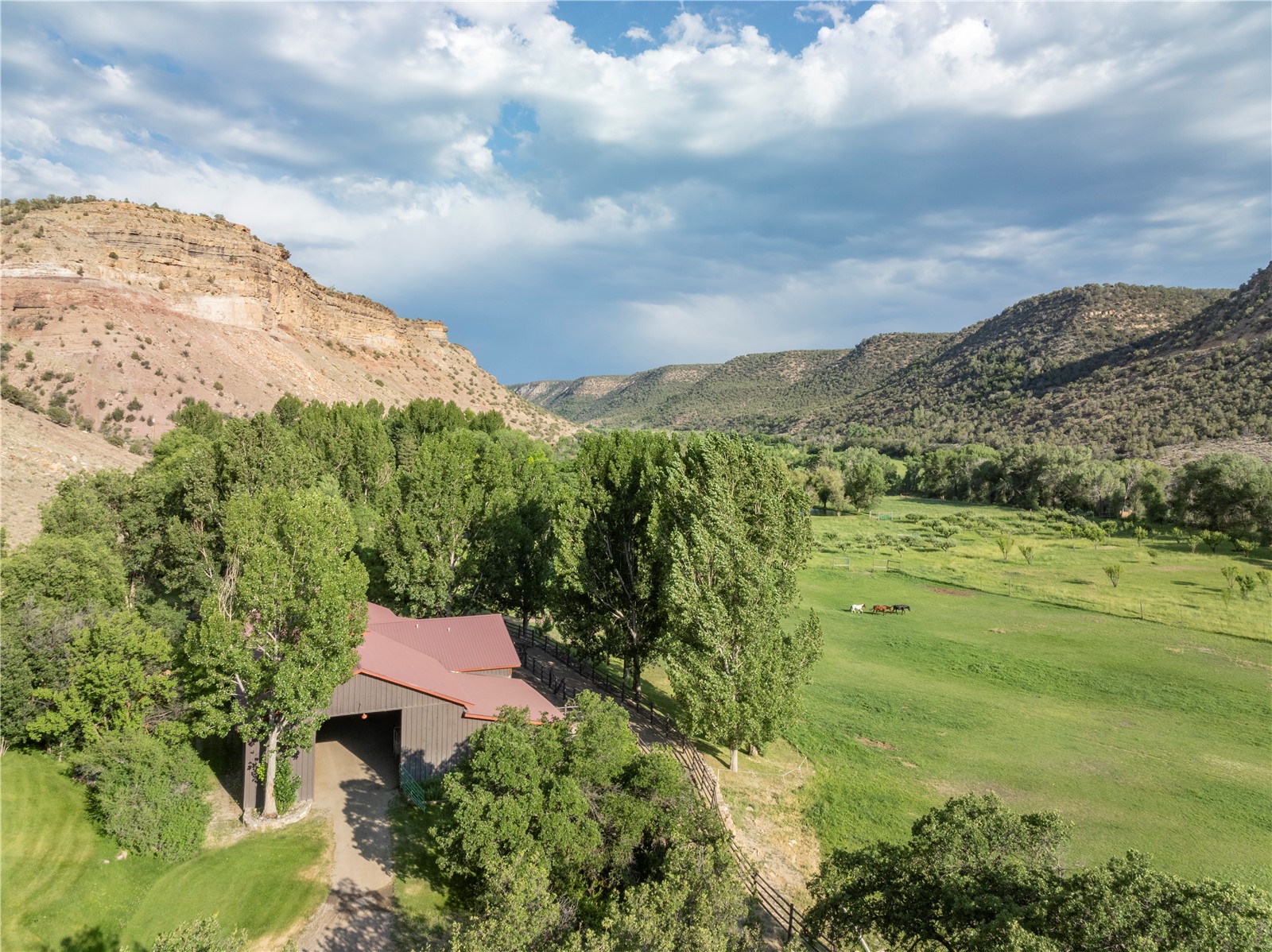 34074 Fruitland Mesa Road Crawford, CO 81415 - Photo 4 of 50