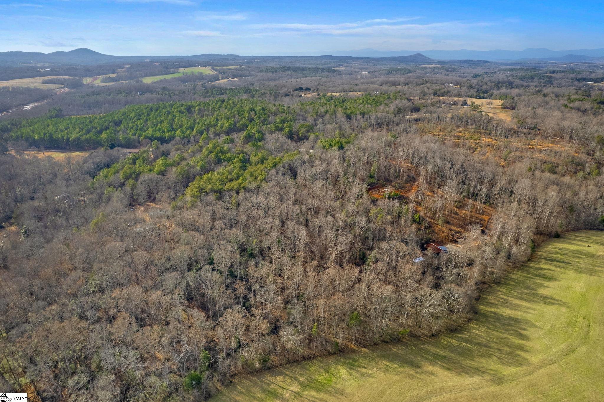 191 Juniper Lane Pickens, SC 29671 - Photo 2 of 14