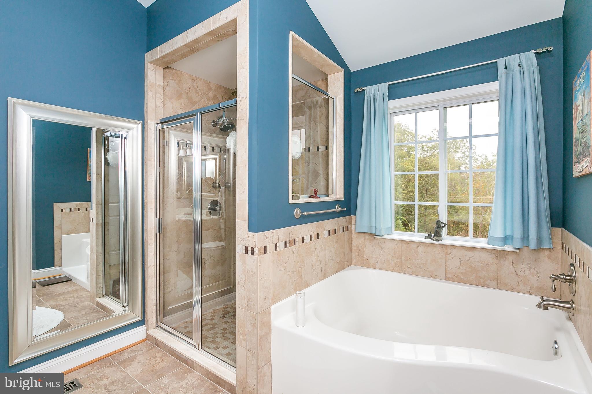 21 Bowleys Quarters Road Baltimore, MD 21220 - Photo 16 of 29 Soaking tub and multi-directional shower heads